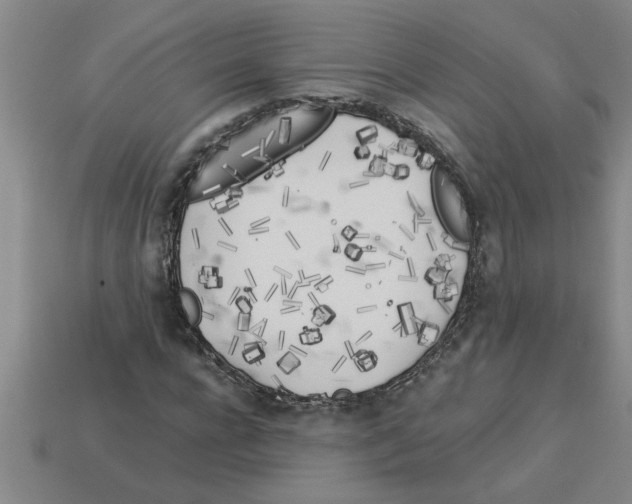 X0000112880920200910021350