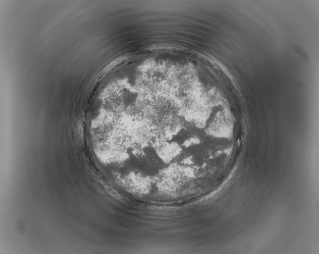 X0000112880921200910021350