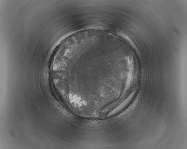 X0000112880923200910021350