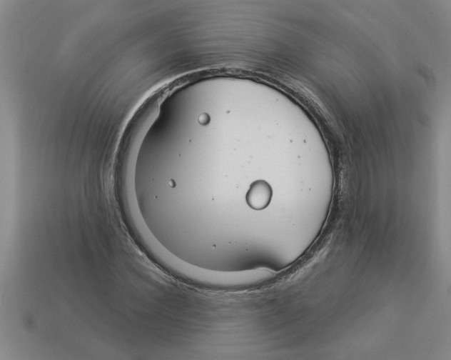 X0000112880924200910021350