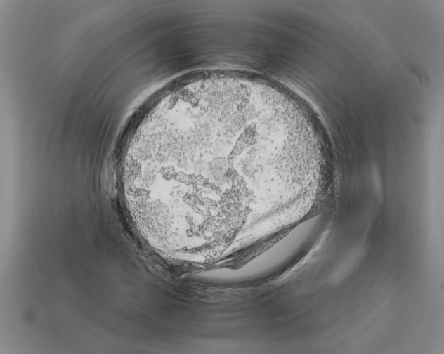 X0000112880925200910021350