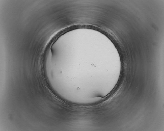 X0000112880926200910021350