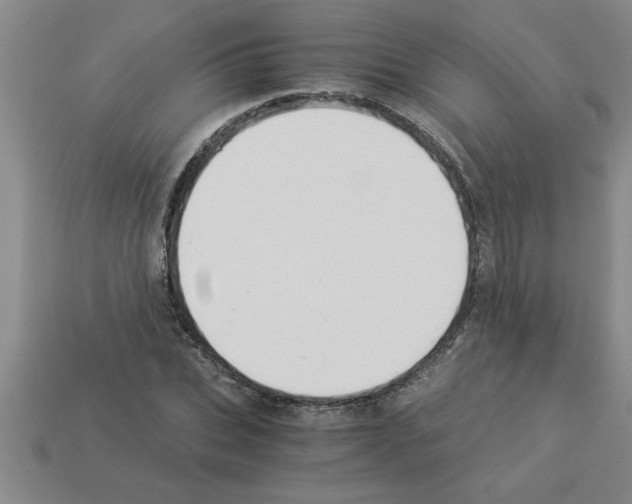 X0000112880927200910021350