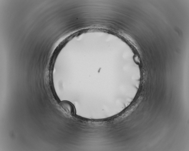 X0000112880928200910021350