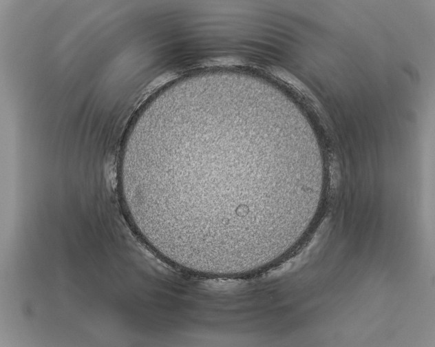 X0000112880929200910021350