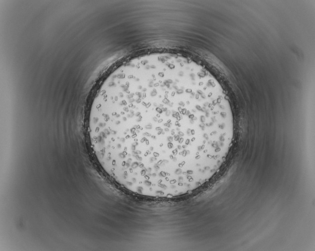 X0000112880930200910021350