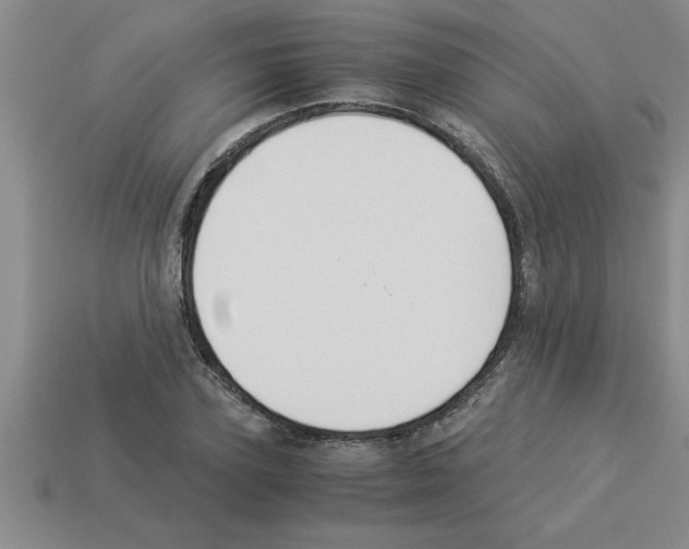 X0000112880931200910021350