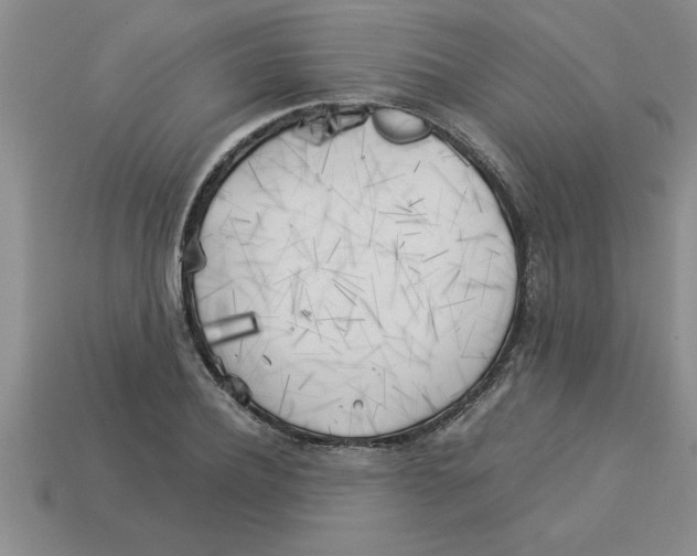 X0000112880932200910021350