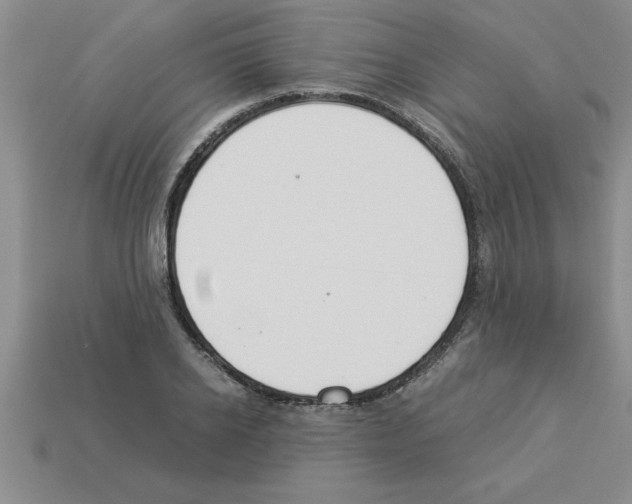 X0000112880934200910021350