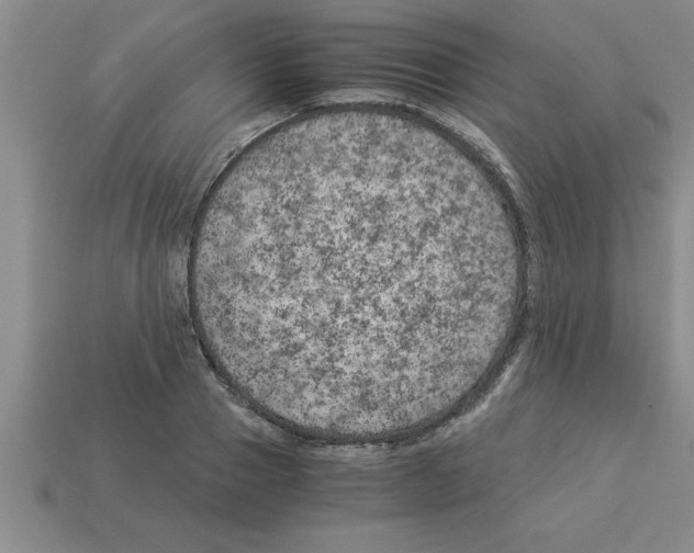 X0000112880937200910021350