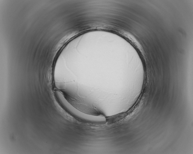 X0000112880938200910021350