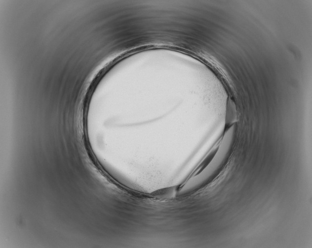 X0000112880939200910021350