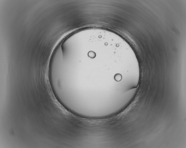 X0000112880940200910021350