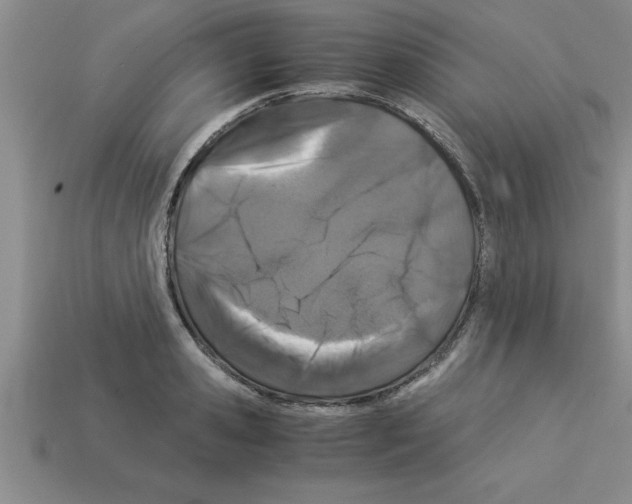 X0000112880941200910021350