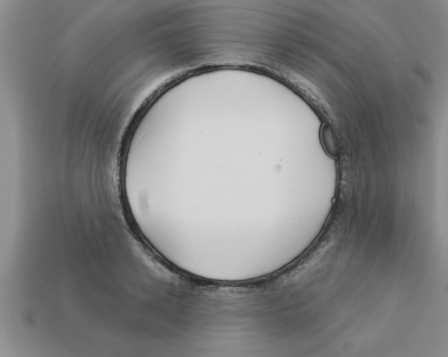 X0000112880942200910021350