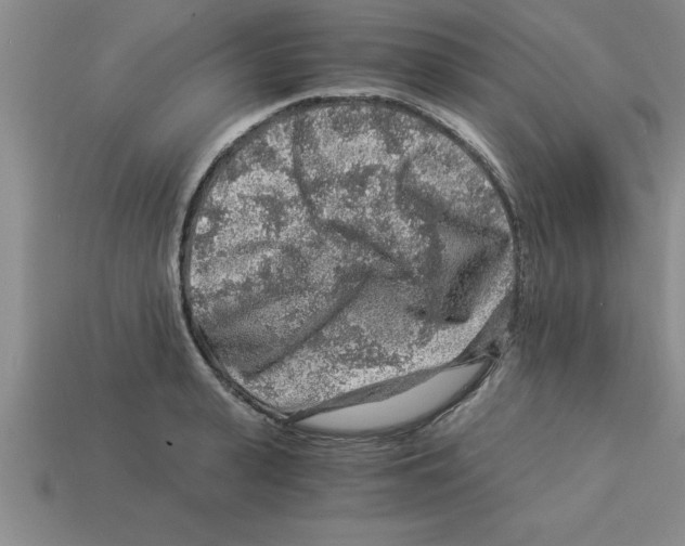 X0000112880943200910021350