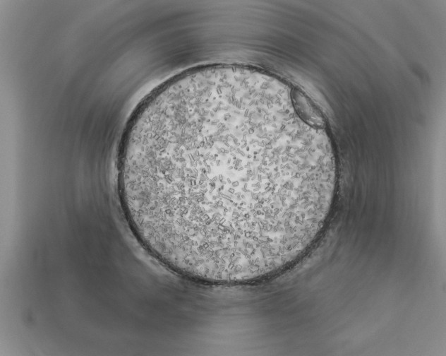 X0000112880944200910021350