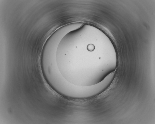 X0000112880946200910021350