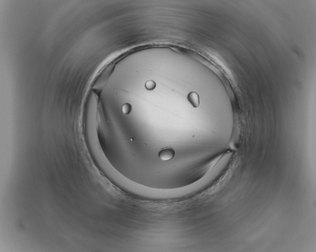 X0000112880948200910021350