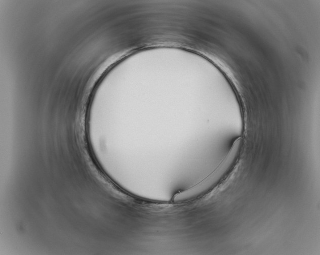 X0000112880949200910021350