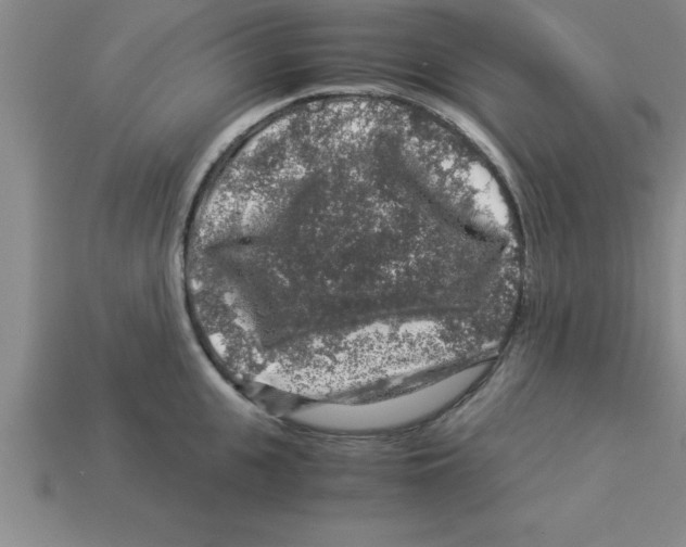 X0000112880951200910021350