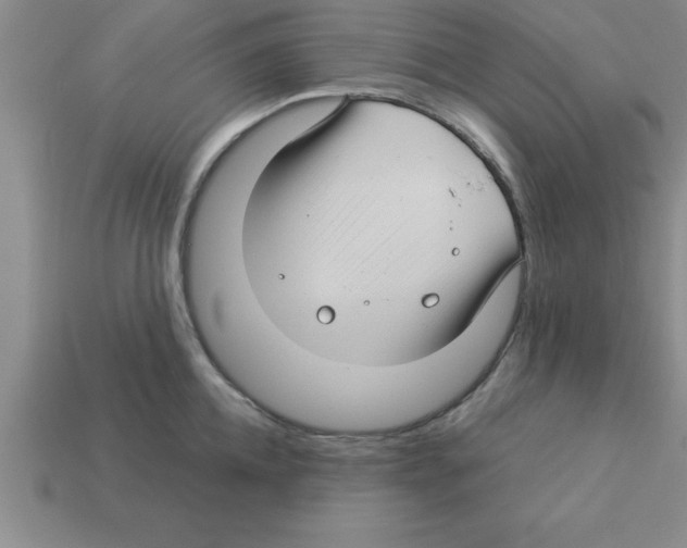 X0000112880952200910021350