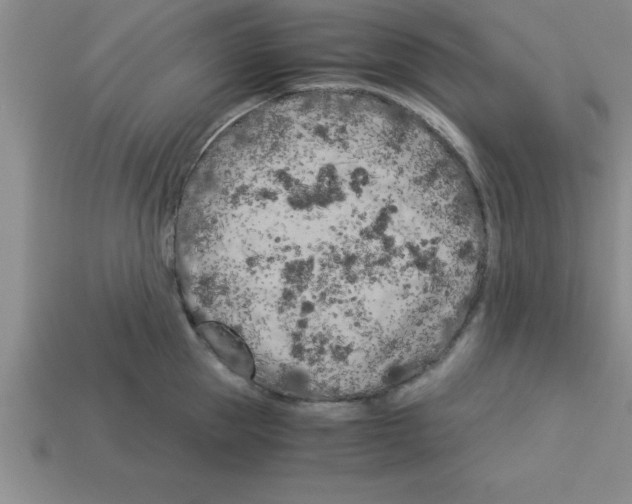 X0000112880953200910021350