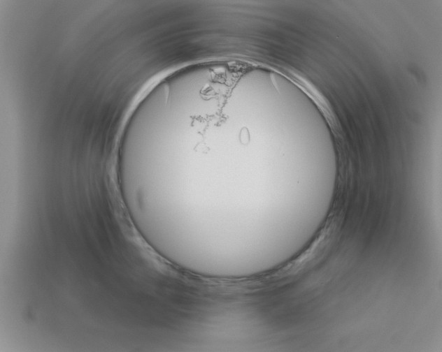 X0000112880956200910021350