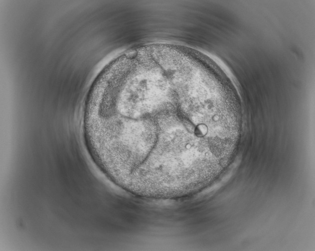 X0000112880957200910021350