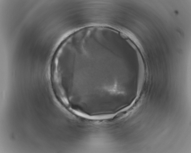 X0000112880958200910021350