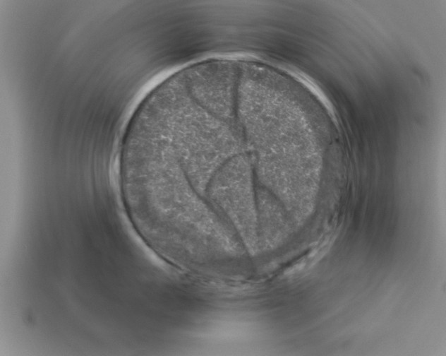 X0000112880959200910021350