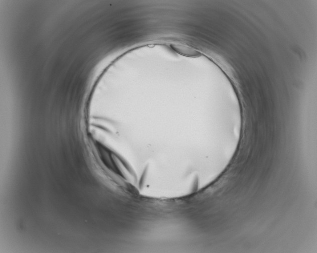 X0000112880960200910021350