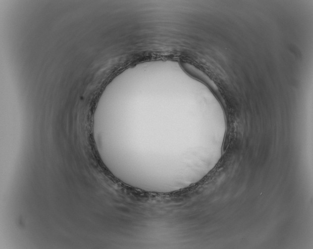 X0000112880961200910021350