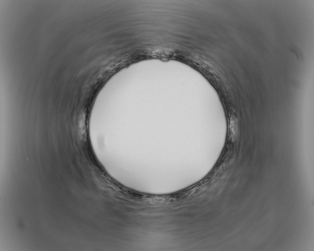 X0000112880963200910021350