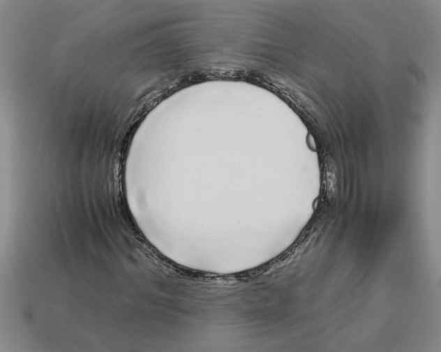 X0000112880964200910021350