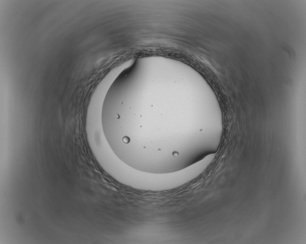 X0000112880965200910021350