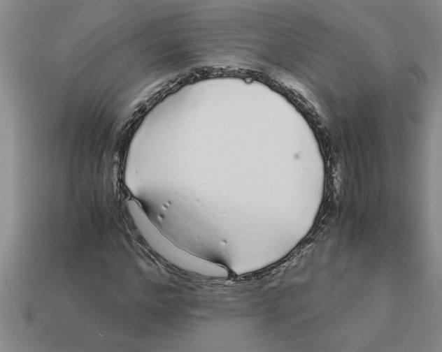 X0000112880968200910021350