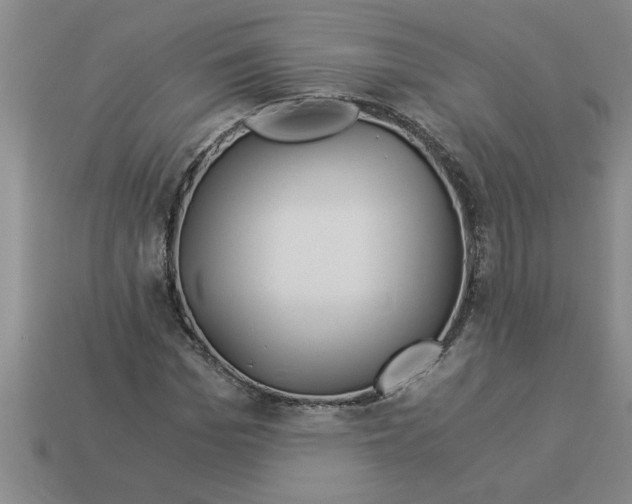 X0000112880969200910021350