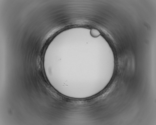 X0000112880970200910021350