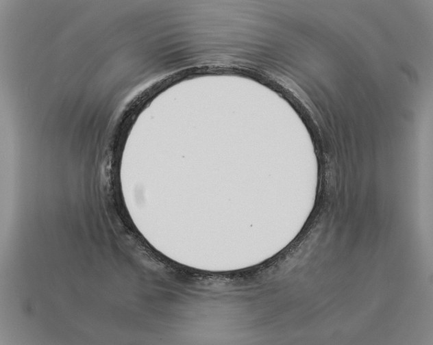 X0000112880971200910021350