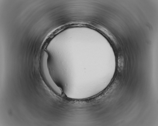 X0000112880972200910021350