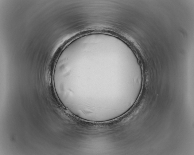 X0000112880973200910021350