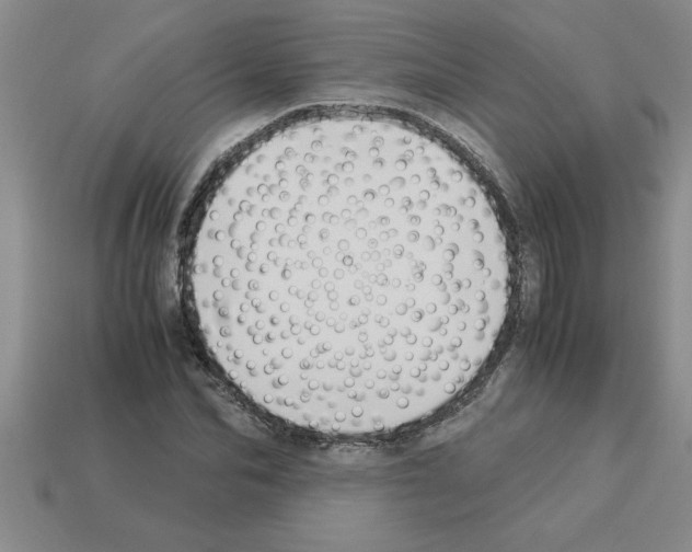 X0000112880974200910021350