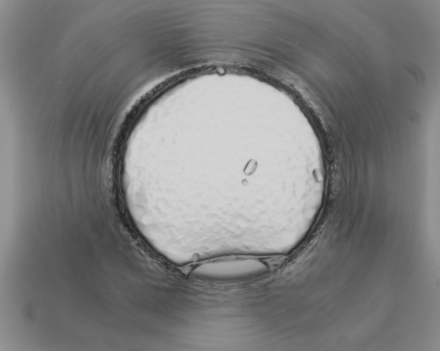 X0000112880975200910021350