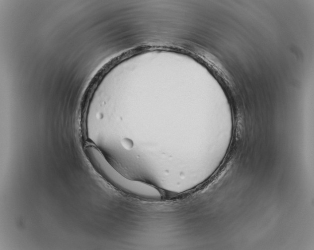 X0000112880976200910021350