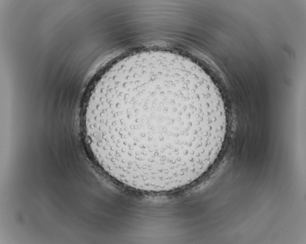 X0000112880978200910021350