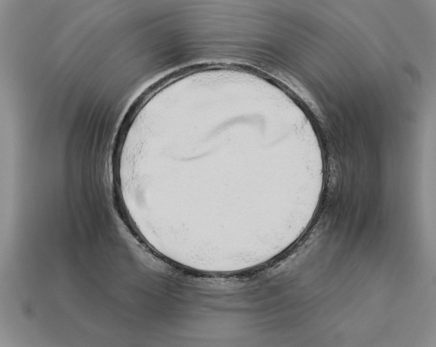 X0000112880980200910021350