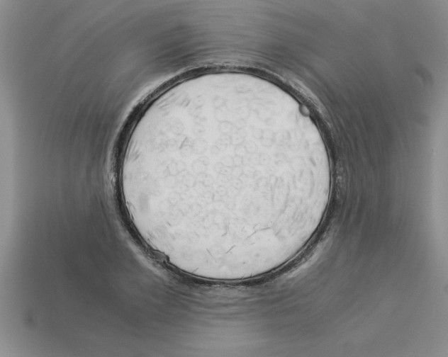 X0000112880981200910021350