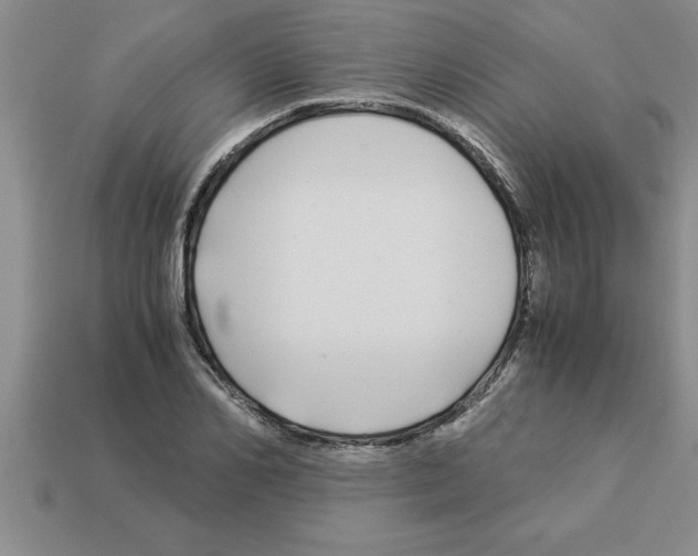 X0000112880982200910021350