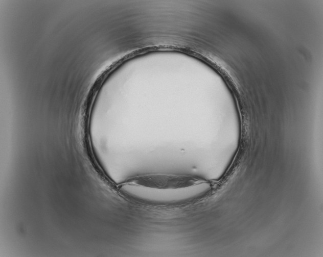 X0000112880983200910021350